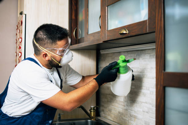 Best Pest Control Near Me  in Chalfant, CA
