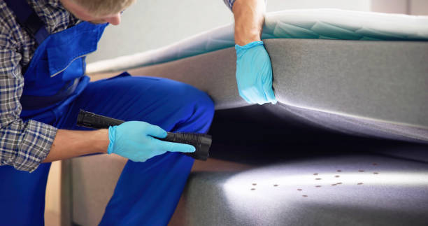 Best Termite Control Services  in Chalfant, CA