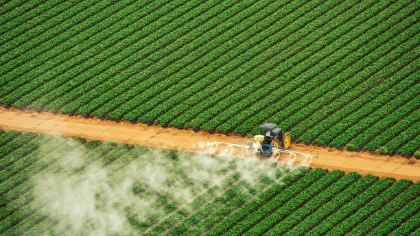 Best Ant Control Services  in Chalfant, CA