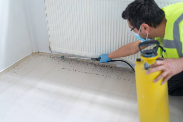 Best Exterminator Services  in Chalfant, CA